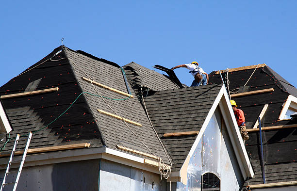 Best Roof Leak Repair  in Harvey, ND