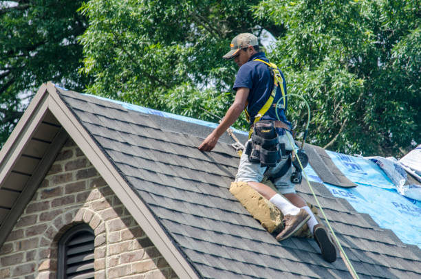 Best Storm Damage Roof Repair  in Harvey, ND